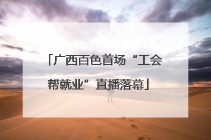 广西百色首场“工会帮就业”直播落幕