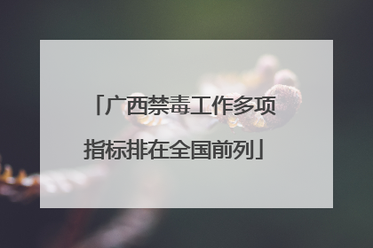 广西禁毒工作多项指标排在全国前列