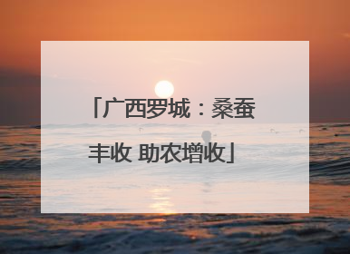 广西罗城：桑蚕丰收 助农增收