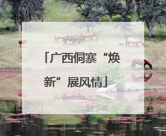 广西侗寨“焕新”展风情