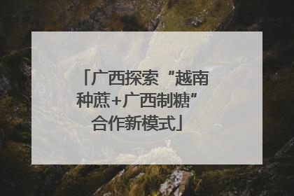 广西探索“越南种蔗+广西制糖”合作新模式