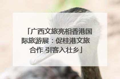广西文旅亮相香港国际旅游展：促桂港文旅合作 引客入壮乡
