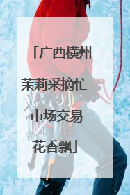广西横州茉莉采摘忙 市场交易花香飘