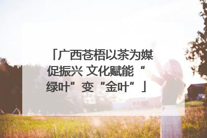广西苍梧以茶为媒促振兴 文化赋能“绿叶”变“金叶”