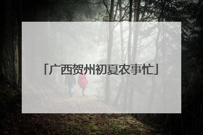 广西贺州初夏农事忙