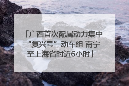 广西首次配属动力集中“复兴号”动车组 南宁至上海省时近6小时