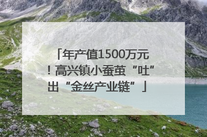 年产值1500万元！高兴镇小蚕茧“吐”出“金丝产业链”