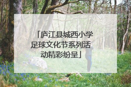 庐江县城西小学足球文化节系列活动精彩纷呈