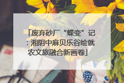 废弃砂厂“蝶变”记：湘阴中麻贝乐谷绘就农文旅融合新画卷