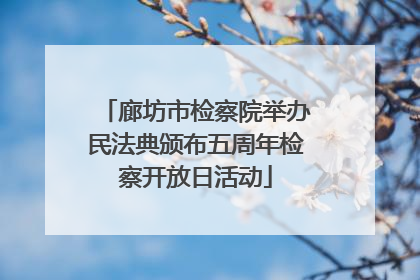 廊坊市检察院举办民法典颁布五周年检察开放日活动
