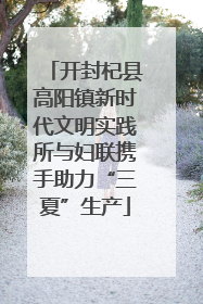 开封杞县高阳镇新时代文明实践所与妇联携手助力“三夏”生产