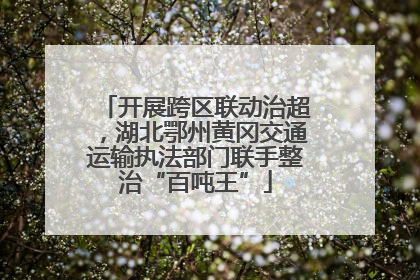 开展跨区联动治超，湖北鄂州黄冈交通运输执法部门联手整治“百吨王”