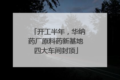 开工半年，华纳药厂原料药新基地四大车间封顶