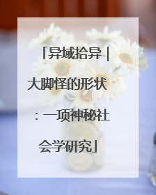 异域拾异｜大脚怪的形状：一项神秘社会学研究