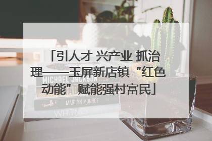 引人才 兴产业 抓治理——玉屏新店镇“红色动能”赋能强村富民