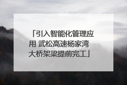 引入智能化管理应用 武松高速杨家湾大桥架梁提前完工