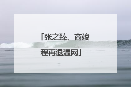 张之臻、商竣程再退温网