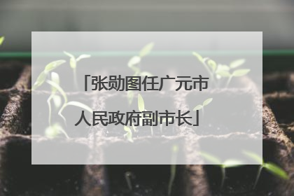 张勋图任广元市人民政府副市长