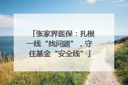 张家界医保：扎根一线“找问题”，守住基金“安全线”