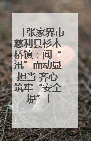 张家界市慈利县杉木桥镇：闻“汛”而动显担当 齐心筑牢“安全堤”