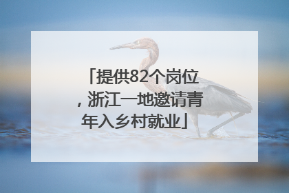 提供82个岗位，浙江一地邀请青年入乡村就业