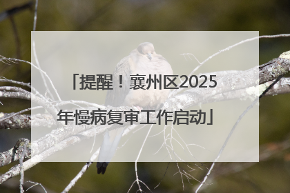 提醒！襄州区2025年慢病复审工作启动