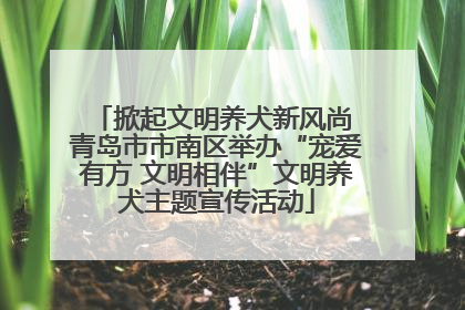 掀起文明养犬新风尚 青岛市市南区举办“宠爱有方 文明相伴”文明养犬主题宣传活动
