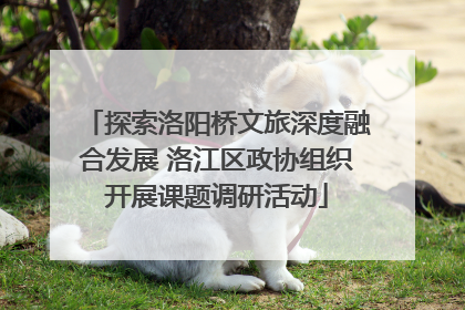 探索洛阳桥文旅深度融合发展 洛江区政协组织开展课题调研活动