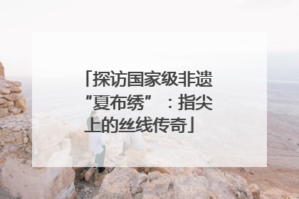 探访国家级非遗“夏布绣”：指尖上的丝线传奇