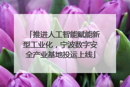 推进人工智能赋能新型工业化，宁波数字安全产业基地投运上线
