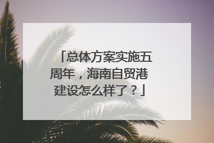 总体方案实施五周年，海南自贸港建设怎么样了？