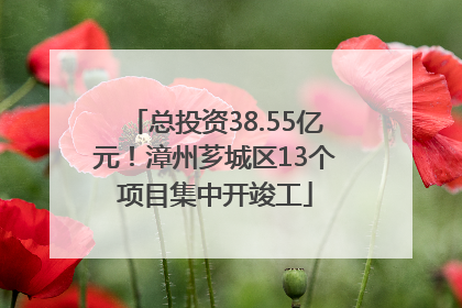 总投资38.55亿元！漳州芗城区13个项目集中开竣工