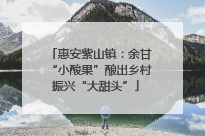 惠安紫山镇：余甘“小酸果”酿出乡村振兴“大甜头”