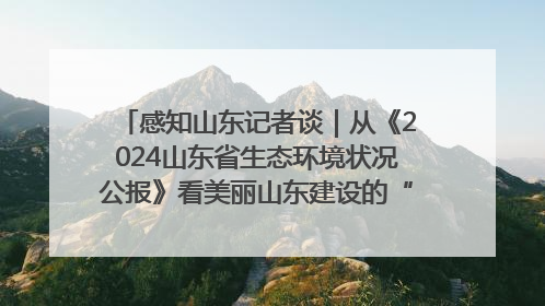 感知山东记者谈｜从《2024山东省生态环境状况公报》看美丽山东建设的“成绩单”与“任务书”