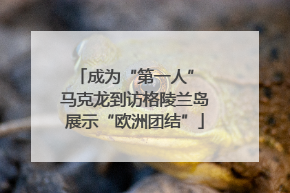 成为“第一人” 马克龙到访格陵兰岛展示“欧洲团结”