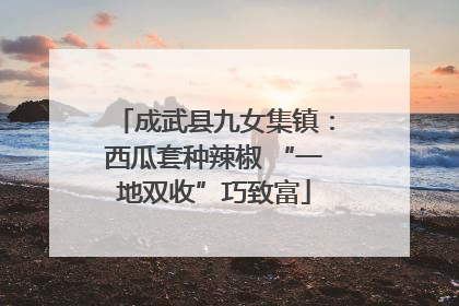 成武县九女集镇：西瓜套种辣椒 “一地双收”巧致富