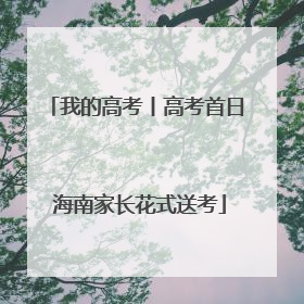 我的高考丨高考首日 海南家长花式送考