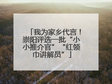 我为家乡代言！崇阳评选一批“小小推介官”“红领巾讲解员”