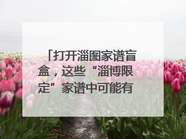 打开淄图家谱盲盒，这些“淄博限定”家谱中可能有你的隐藏身份