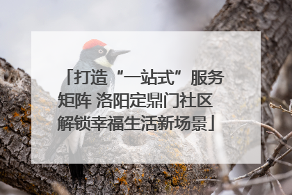 打造“一站式”服务矩阵 洛阳定鼎门社区解锁幸福生活新场景