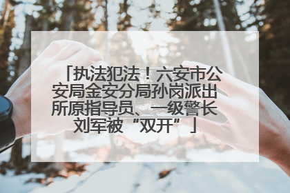 执法犯法！六安市公安局金安分局孙岗派出所原指导员、一级警长刘军被“双开”