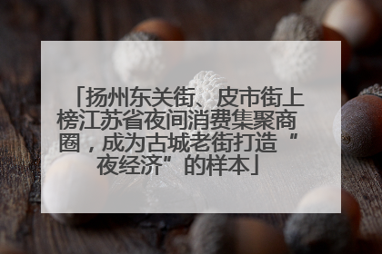 扬州东关街、皮市街上榜江苏省夜间消费集聚商圈，成为古城老街打造“夜经济”的样本