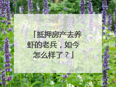 抵押房产去养虾的老兵，如今怎么样了？