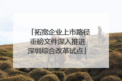 拓宽企业上市路径 重磅文件深入推进深圳综合改革试点