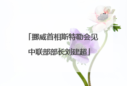 挪威首相斯特勒会见中联部部长刘建超