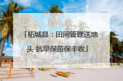 柘城县：田间管理送地头 抗旱保苗保丰收