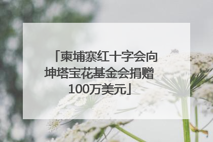 柬埔寨红十字会向坤塔宝花基金会捐赠100万美元