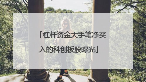 杠杆资金大手笔净买入的科创板股曝光