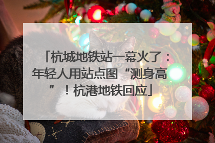 杭城地铁站一幕火了：年轻人用站点图“测身高”！杭港地铁回应