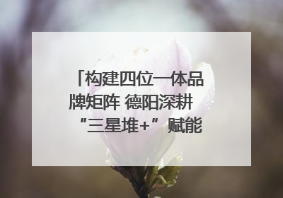 构建四位一体品牌矩阵 德阳深耕“三星堆+”赋能国际旅游城市建设｜文旅局长说